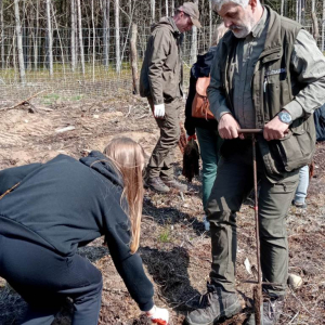 Pan Leśniczy Witold Pieniążek pomaga sadzić las