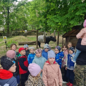 Przedszkolaki słuchają ciekawych informacji na temat zwierząt.
