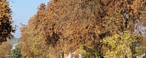 Szkoła Podstawowa im. św. Jana Pawła II - pamięta...