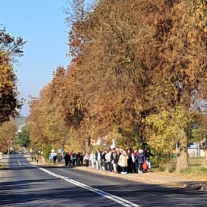 W drodze na cmentarz...