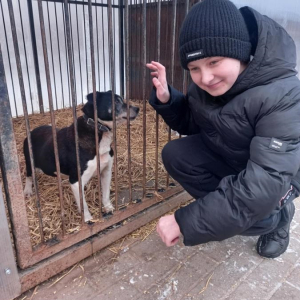 Karol poznaje pieska