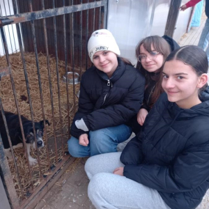 Nikola, Gabrysia i Ula z podopiecznym przytuliska