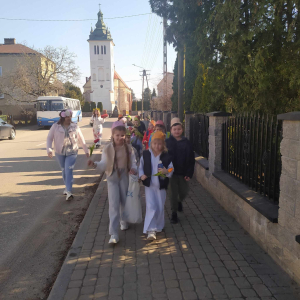 Z tulipanem w ręku i piosenką na ustach wędrujemy ulicami Krzynowłogi.